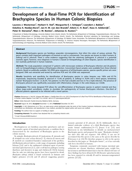 Development of a Real-Time PCR for Identification of Brachyspira Species in Human Colonic Biopsies