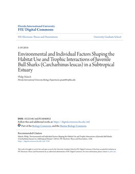 Environmental and Individual Factors Shaping the Habitat Use And