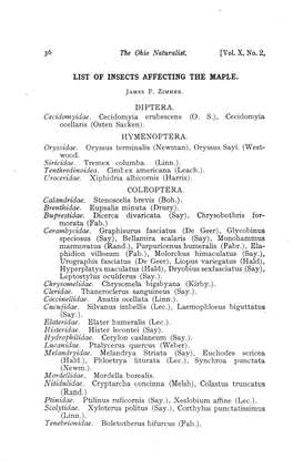 List of Insects Affecting the Maple