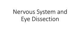 Nervous System and Eye Dissection