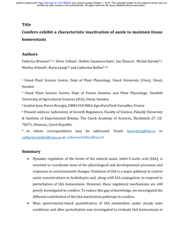 Conifers Exhibit a Characteristic Inactivation of Auxin to Maintain Tissue