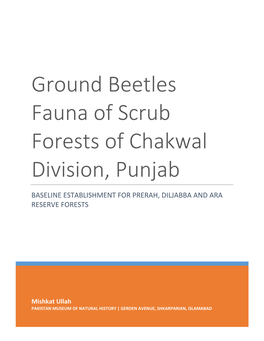 Ground Beetles Fauna of Scrub Forests of Chakwal Division, Punjab