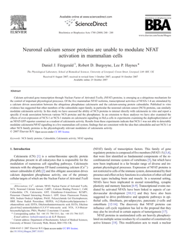 Neuronal Calcium Sensor Proteins Are Unable to Modulate NFAT Activation in Mammalian Cells ⁎ Daniel J