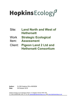 Site: Land North and West of Hethersett Work Item