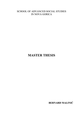 Master Thesis