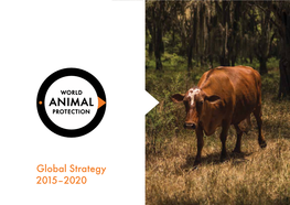 Global Strategy 2015–2020 Contents