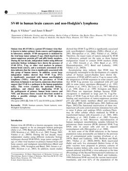 SV40 in Human Brain Cancers and Non-Hodgkin's Lymphoma
