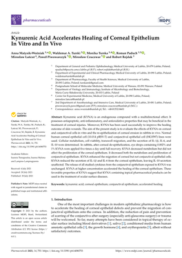 Kynurenic Acid Accelerates Healing of Corneal Epithelium in Vitro and in Vivo