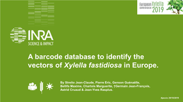 Streito: a Barcode Database to Identify the Vectors of Xylella Fastidiosa in Europe
