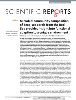 Microbial Community Composition of Deep-Sea Corals from the Red Sea