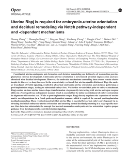 Uterine Rbpj Is Required for Embryonic-Uterine Orientation and Decidual Remodeling Via Notch Pathway-Independent and -Dependent Mechanisms