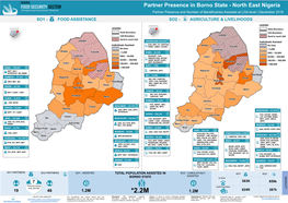 Partner Presence in Borno State