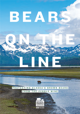 Protecting Alaska's Brown Bears from the Pebble Mine