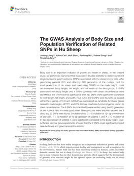 The GWAS Analysis of Body Size and Population Verification of Related