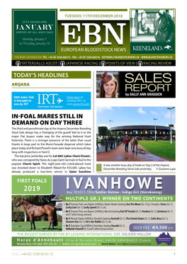 Ebn European Bloodstock News