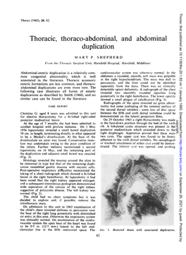 Thoracic, Thoraco-Abdominal, and Abdominal Duplication