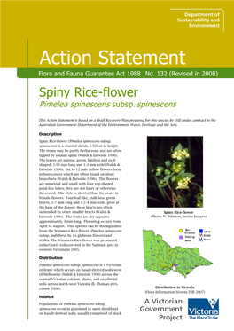 Spiny Rice-Flower