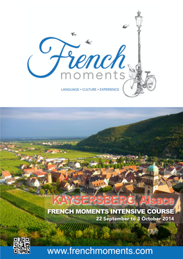 French Intensive Course Kaysersberg 2014