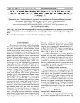 New Locality Records of Blunt-Nosed Viper, Macrovipera Lebetina Euphratica (Martin, 1838) in Southern Iraq (Ophidia : Viperidae)