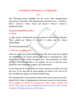 Exoskeleton Derivatives of Mammals Integumentaryderivative