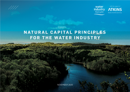 Download Natural Capital Principles for the Water Industry