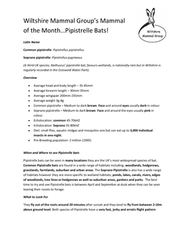 Wiltshire Mammal Group's Mammal of the Month…Pipistrelle Bats!