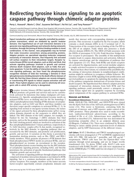 Redirecting Tyrosine Kinase Signaling to an Apoptotic Caspase Pathway Through Chimeric Adaptor Proteins