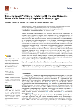 Transcriptional Profiling of Aflatoxin B1-Induced Oxidative Stress And