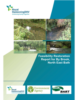 Feasibility Restoration Report for by Brook, North East Bath