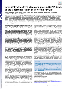 Intrinsically Disordered Chromatin Protein NUPR1 Binds to the C-Terminal Region of Polycomb RING1B