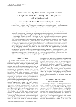 Trematodes in a Cyathura Carinata Population from a Temperate Intertidal Estuary: Infection Patterns and Impact on Host