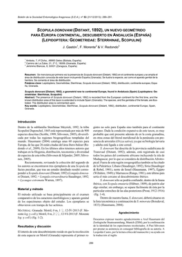 Scopula Donovani (Distant, 1892), Un Nuevo Geométrido Para Europa Continental, Descubierto En Andalucía (España) (Lepidoptera: Geometridae: Sterrhinae, Scopulini)