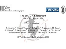 The WITCH Experiment Status and Perspectives