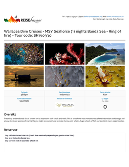 Wallacea Dive Cruises - MSY Seahorse (11 Nights Banda Sea - Ring of ﬁre) - Tour Code: SH190930