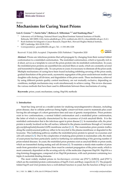 Mechanisms for Curing Yeast Prions