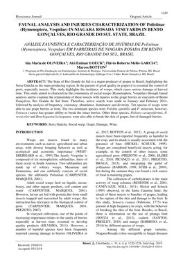 (Hymenoptera, Vespidae) in NIAGARA ROSADA VINEYARDS in BENTO GONÇALVES, RIO GRANDE DO SUL STATE, BRAZIL