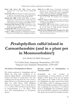 Inland in Carmarthenshire (And in a Plant Pot in Monmouthshire!)