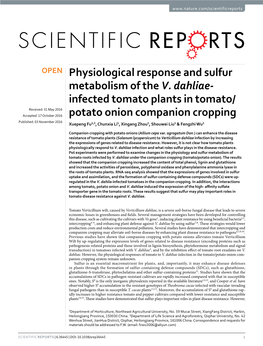 Physiological Response and Sulfur Metabolism of the V. Dahliae