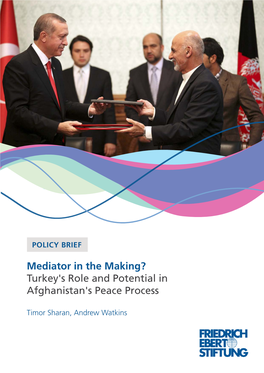 Turkey's Role and Potential in Afghanistan's Peace Process