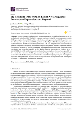 ER-Resident Transcription Factor Nrf1 Regulates Proteasome Expression and Beyond