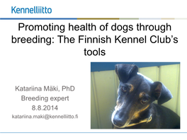 Promoting Health of Dogs Through Breeding: the Finnish Kennel Club’S Tools