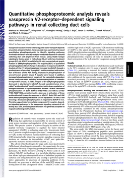 Quantitative Phosphoproteomic Analysis Reveals Vasopressin V2-Receptor–Dependent Signaling Pathways in Renal Collecting Duct Cells