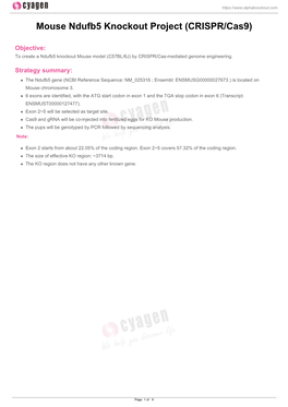 Mouse Ndufb5 Knockout Project (CRISPR/Cas9)