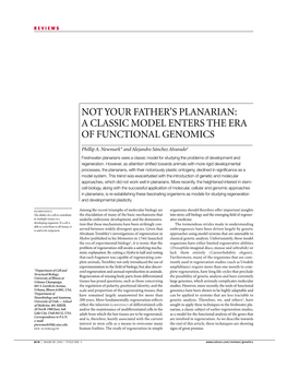 Not Your Father's Planarian: a Classic Model Enters The