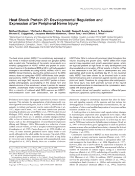 Heat Shock Protein 27: Developmental Regulation and Expression After Peripheral Nerve Injury