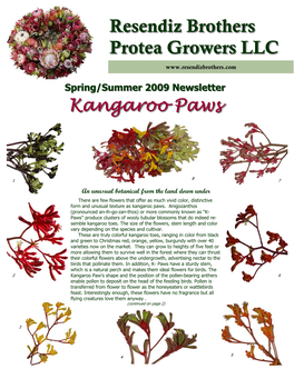 20092009 Newsletternewsletter Kangarookangaroo Pawspaws