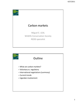 Carbon Market