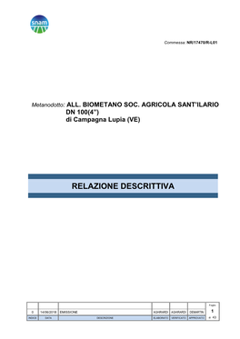 Relazione Descrittiva