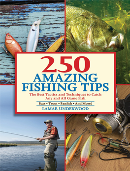 250 Amazing Fishing Tips