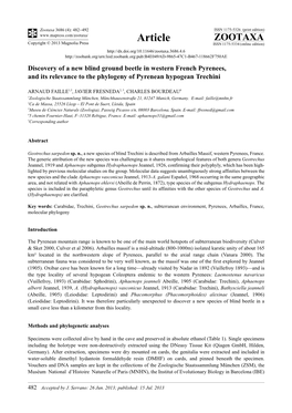 Discovery of a New Blind Ground Beetle in Western French Pyrenees, and Its Relevance to the Phylogeny of Pyrenean Hypogean Trechini